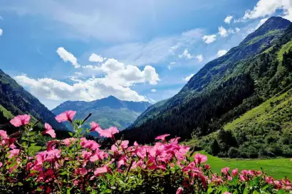 10-haus_daheim-apartment-mittagskogel-Sommer